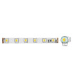 LED STRIP PLUS 12V 60x5050 14.4W 3M(ADHESIVE TAPE) 10mmIP20 RGBW 5m ROLL 5540450 VITO