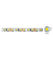 LED STRIP PLUS 24V 120x2835 9.6W 3M(ADHESIVE TAPE) 8mm IP20 3000K 5m ROLL 5540460 VITO