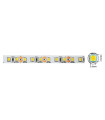 LED STRIP PLUS 24V 120x2835 9.6W 3M(ADHESIVE TAPE) 8mm IP20 4000K 5m ROLL 5540470 VITO