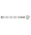 LED STRIP PLUS 24V 60x5050 14.4W 3M(ADHESIVE TAPE) 10mm IP20 RGB 5m ROLL 5540500 VITO