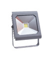 LED FLOODLIGHTAMAZON 50W COB 6000K IP65 220V   3021140 VITO